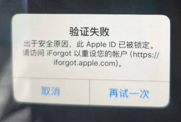 和田县iPhone维修分享iPhone上正常登录或使用AppleID怎么办 