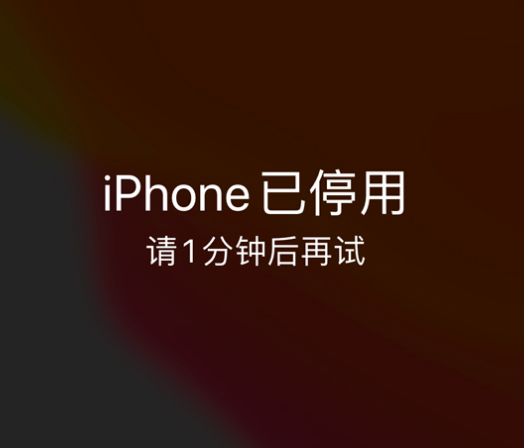 和田县苹果手机维修分享:iPhone 显示“不可用”或“已停用”怎么办？还能保留数据吗？ 