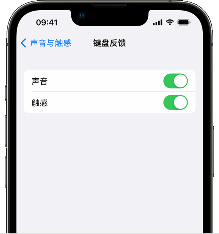 和田县苹果14维修店分享如何在 iPhone 14 机型中使用触感键盘 