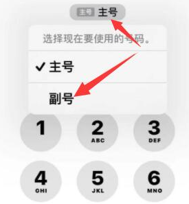 和田县苹果14维修店分享iPhone 14 Pro Max使用副卡打电话的方法 