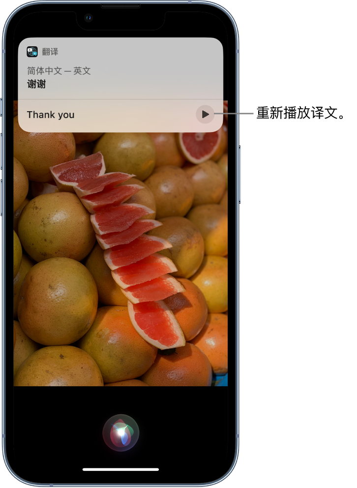 和田县苹果14维修分享 iPhone 14 机型中使用 Siri：了解 Siri 能帮你做什么 