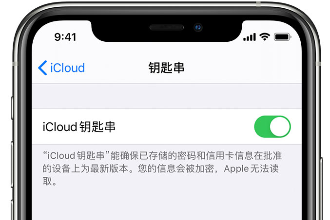 和田县苹果手机维修分享在 iPhone 上开启 iCloud 钥匙串之后会储存哪些信息 